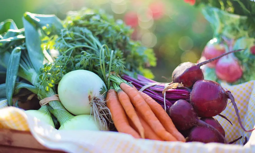 Carrots vegetables in basket