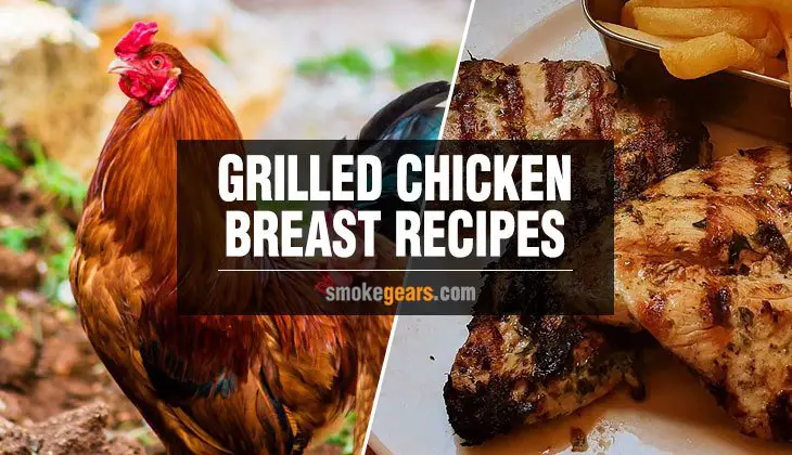 Best Grilled Chicken Breast Recipes