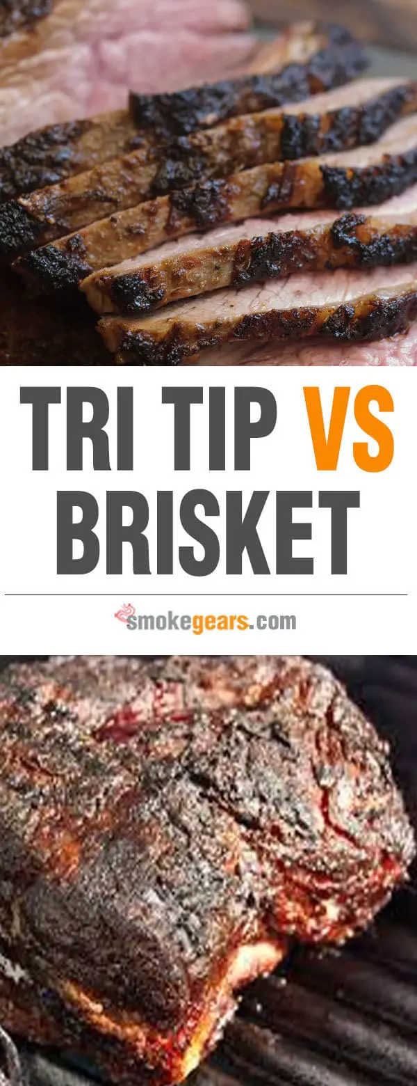 Brisket vs Tri Tip A Detailed Comparison Smoke Gears