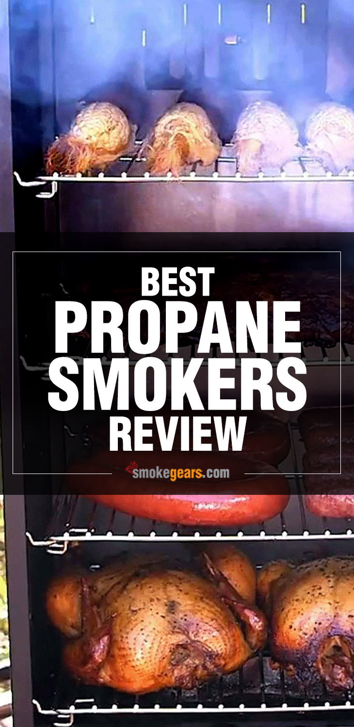 best propane smoker reviews