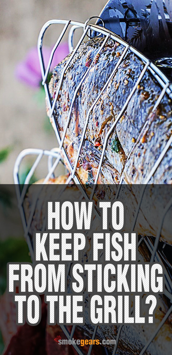 How-to-Keep-Fish-from-Sticking-to-the-Grill How to Keep Fish from Sticking to the Grill